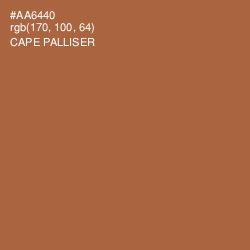 #AA6440 - Cape Palliser Color Image